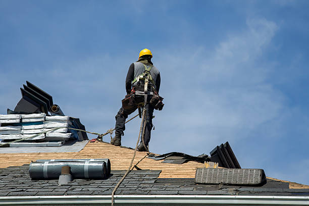 Professional Roof Replacement technician working in Elvaston, IL